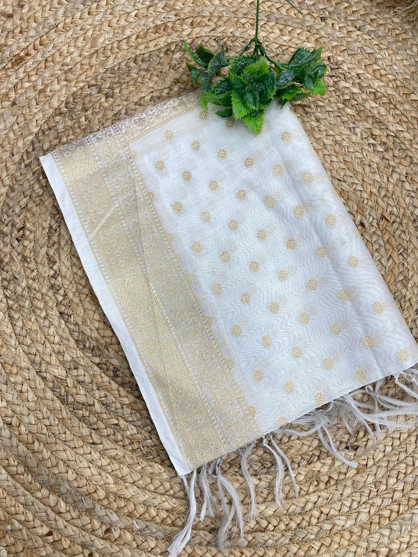 Pleasant Elegant Polka Dot Zari Weaving On Dyeable Banarasi Chanderi Jacquard Dupatta