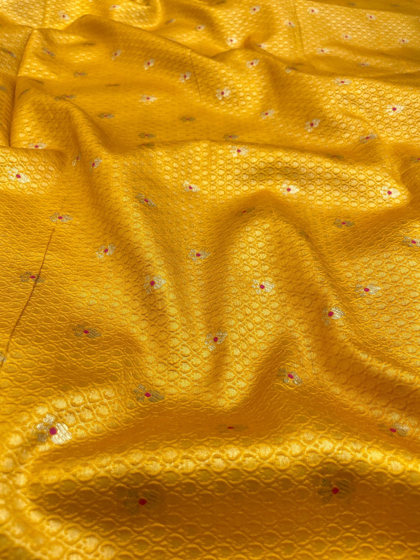 Pure Raw Silk TIssue With Meena Butti (Color Available)