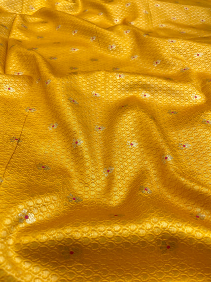 Pure Raw Silk TIssue With Meena Butti (Color Available)