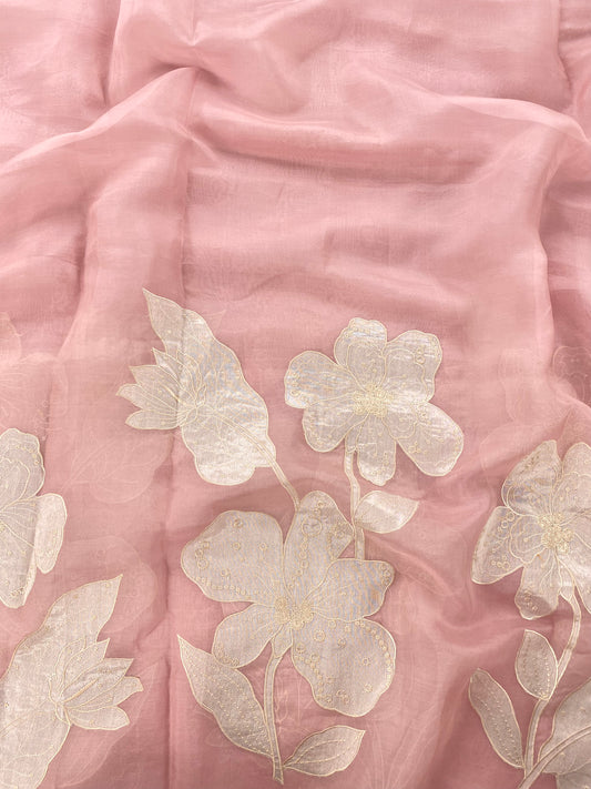 Silk Organza Embroidery With Panel (Color Available) 44"Inch