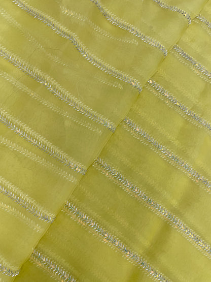 Glorious Pleasing Parallel Cut Dana Embroidery With Shiny Sequin Work On Organza Fabric