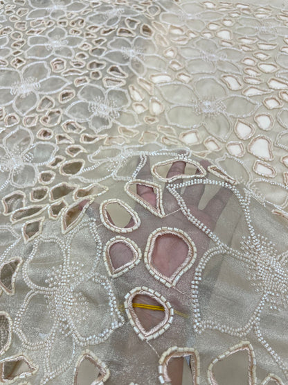 Tissue Cutwork With Beads Embroidery