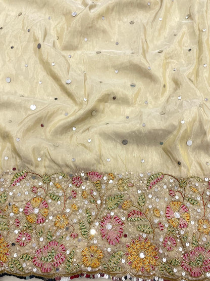 Tissue Embroidery Lehenga Set